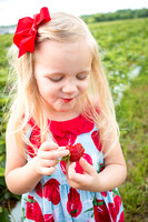 5-30-2019 Eckerts strawberries