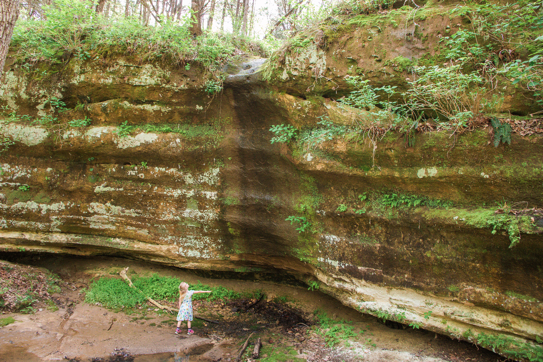 The Best Waterfall Hikes Near St. Louis - Midwest Nomad Family