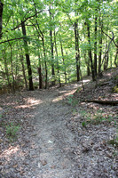 8-25-12 Trail Among the Trees